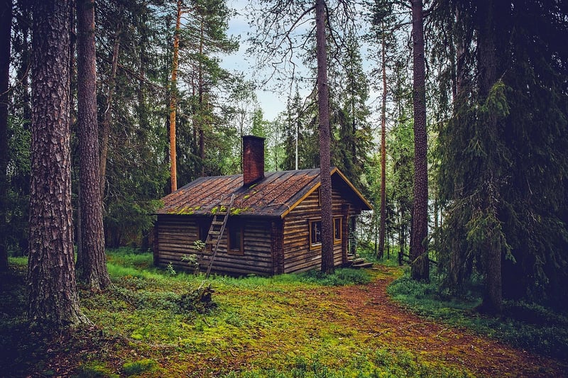 Remote Cabin in the Forest
