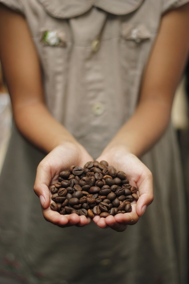 Finca Rosa Blanca, Costa Rica
