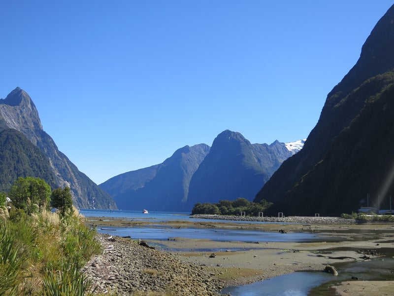 Ziplining in New Zealand